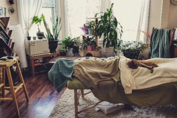 Slide image 1 of 1 for alice-kim-licensed-acupuncturist