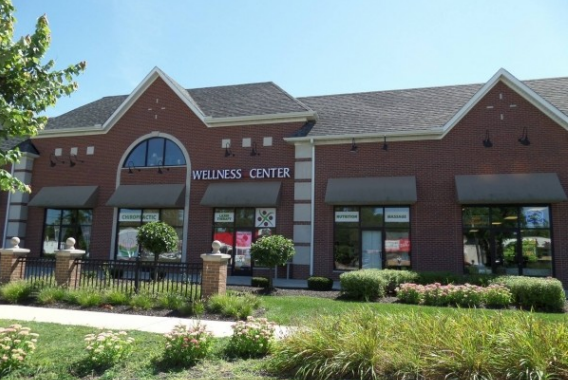image for Rooted Chiropractic Canton