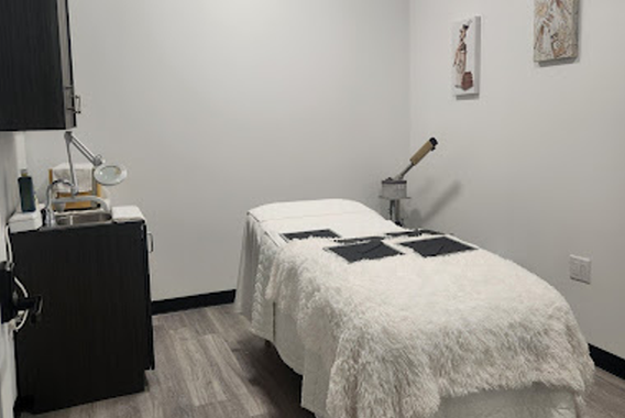 image for The Social Esthetician
