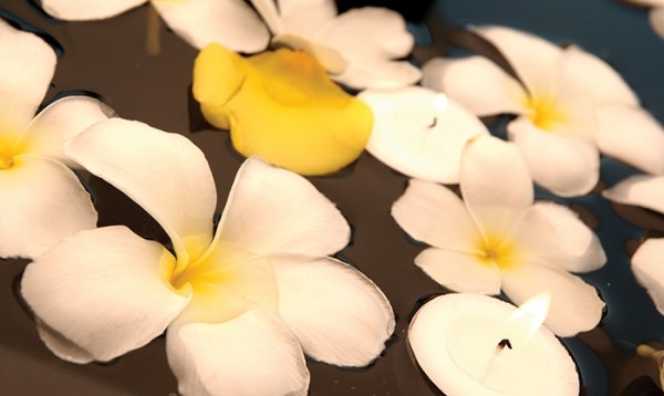 image for Serenity Touch Massage Studio