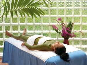 image for The Lotus Center Spa