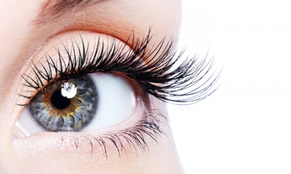 image for Your Lash Chance