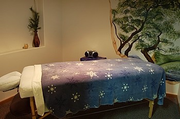 Slide image 3 of 6 for healing-palms-spa
