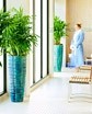image for Pure Blu Spa at the Newport Beach Marriott