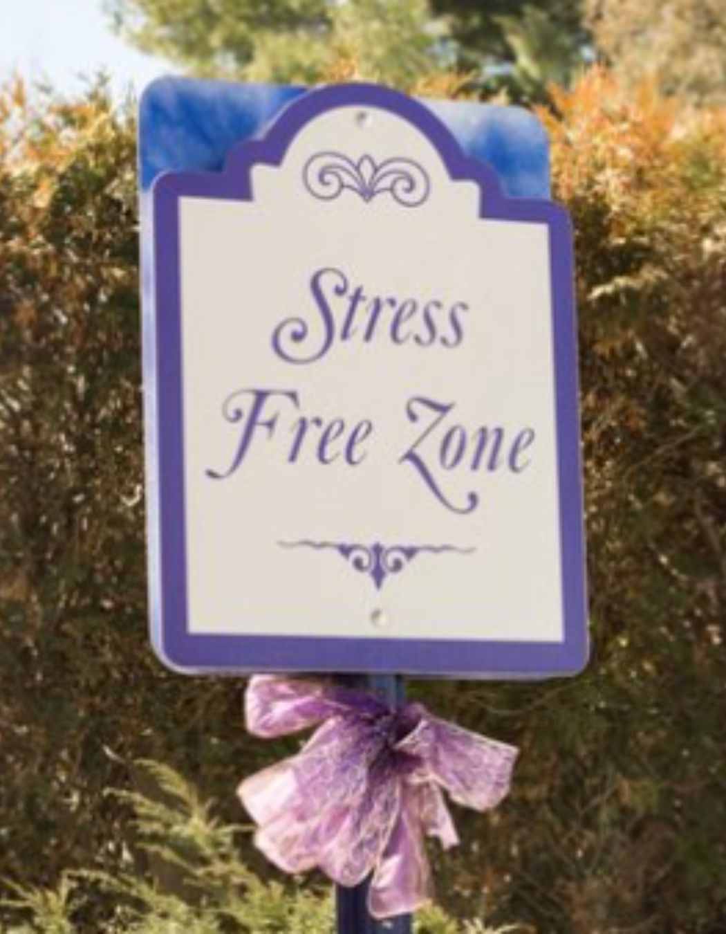 'Stress Free Zone’ sign at spa parking lot in Massachusetts.